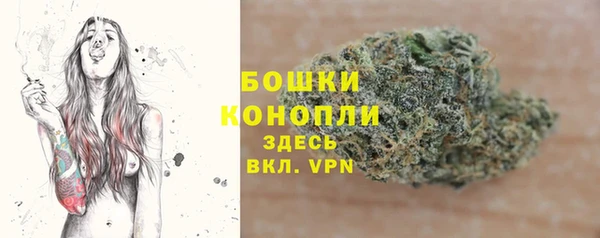 мдпв Михайлов