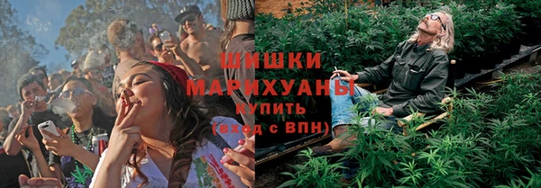 прущие крисы Михайловск
