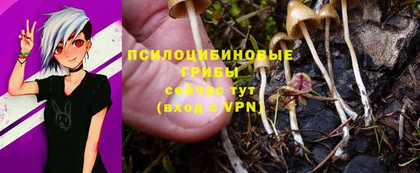 мяу мяу мука Михайловка