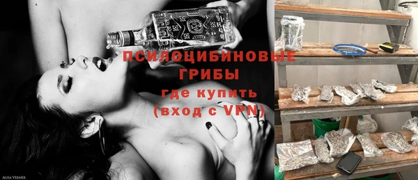 прущие крисы Михайловск